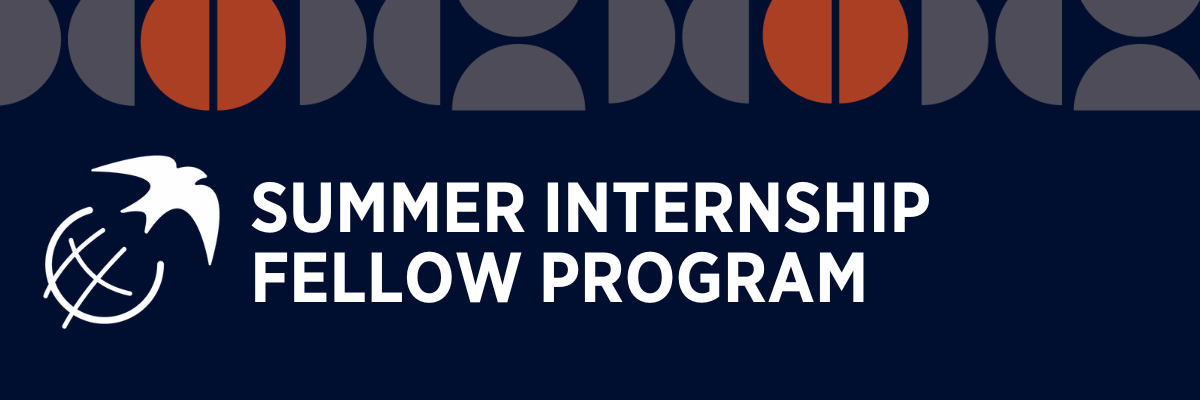 Summer Internship Fellow Program